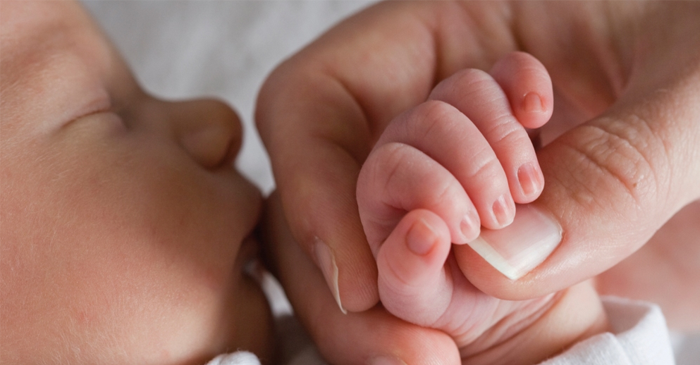 baby kissing mother's hand